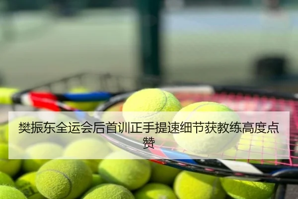 樊振东全运会后首训正手提速细节获教练高度点赞