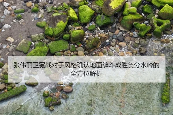 张伟丽卫冕战对手风格确认地面缠斗成胜负分水岭的全方位解析